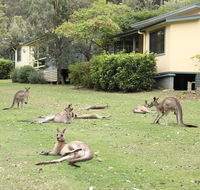 Depot Beach Cabins - Hotel QLD