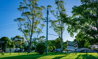 Book Dorrigo Accommodation Vacations Hotel QLD Hotel QLD