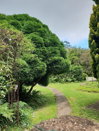 English Gardens - Forest Spa Suite