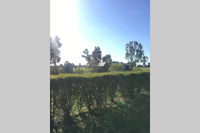Book Benalla Accommodation Vacations Hotel QLD Hotel QLD