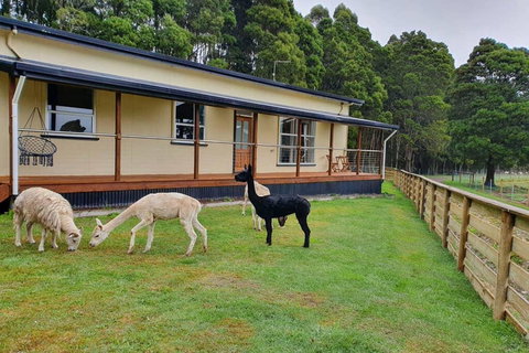 Farm Stay Lowana, Strahan - Hotel QLD 0