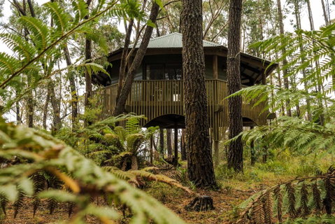 Federation Gardens & Possums Hideaway - Hotel QLD 2
