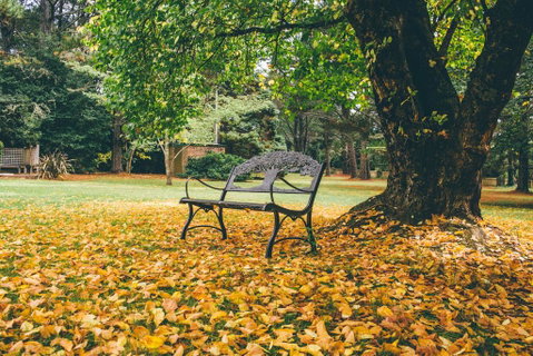 Federation Gardens & Possums Hideaway - Hotel QLD 1