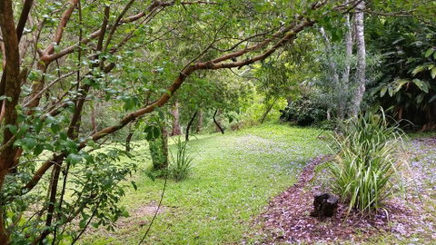 Forest View Bungalow - Hotel QLD 1