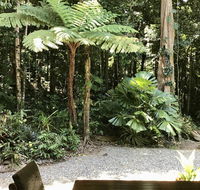 Forest Views Daintree - Hotel QLD