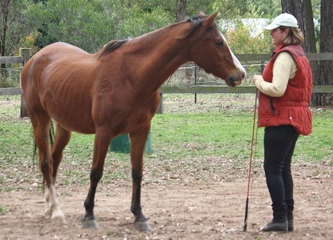 Fullcircle Farm - Hotel QLD 2