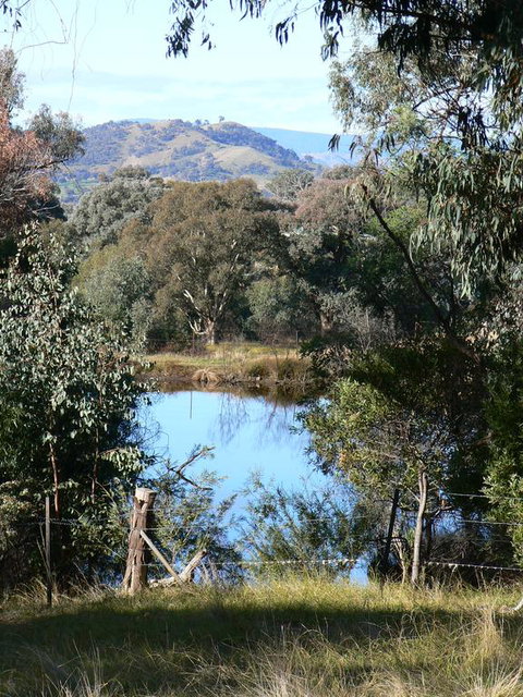 Gaddleen Grove Cottages - Hotel QLD 3