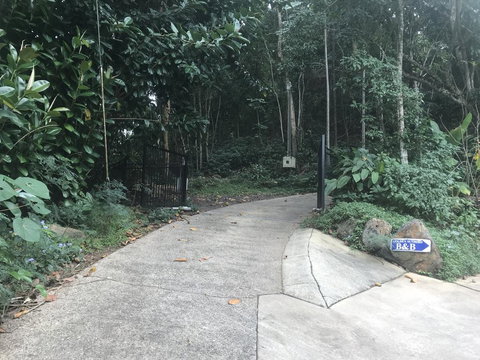 Golden Sunbird - Hotel QLD 1