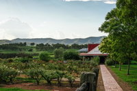 Book Pokolbin Accommodation Vacations Hotel QLD Hotel QLD