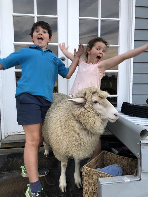 Jackaleah Farm Stay - Hotel QLD 2