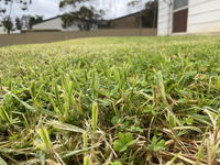 Book Karoonda Accommodation Vacations Hotel QLD Hotel QLD