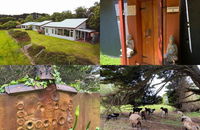 Book Kongwak Accommodation Vacations Hotel QLD Hotel QLD