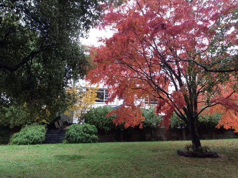 Lakeshore House, Daylesford - Hotel QLD 2