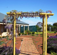 Lavendale Farmstay and Cottages York - Hotel QLD