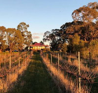 Lillicur Vineyard BB - Hotel QLD