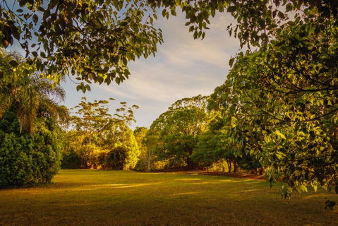 Malanda Lodge - Hotel QLD 1