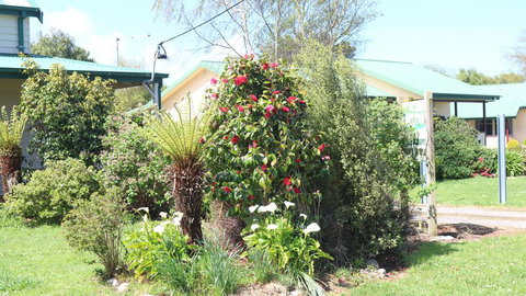 Meredith House & Apartments Strahan - Hotel QLD 1