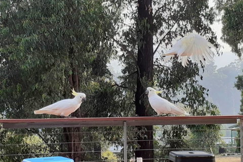 Merry Mary Casa - Hotel QLD 3