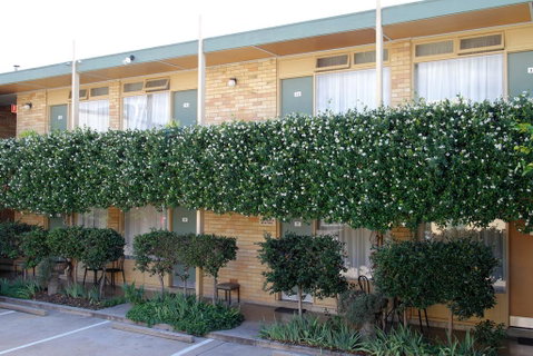 Mid City Motor Inn Queanbeyan - Hotel QLD 1