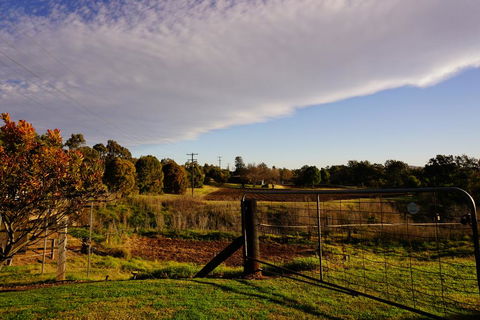 Muswellbrook Northside B&B - Hotel QLD 3