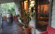 Mystic View Cottage - thumb 0