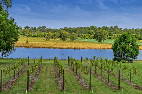 Narangba Motel (formerly Brisbane North B&B And Winery) - Hotel QLD 3