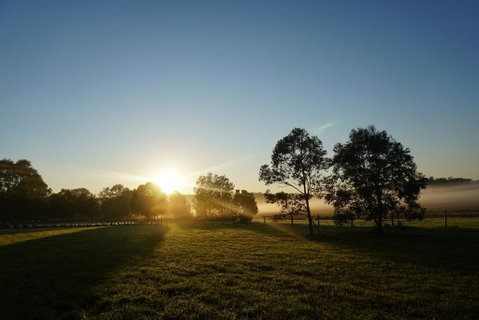 Narangba Motel (formerly Brisbane North B&B And Winery) - Hotel QLD 2