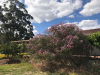 Book Cockburn Central Accommodation Vacations Hotel QLD Hotel QLD