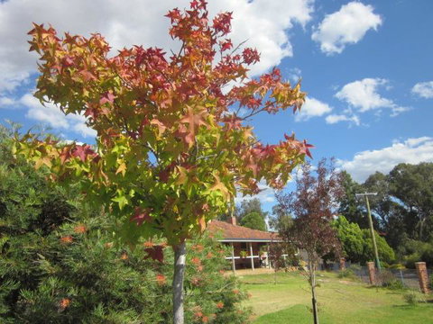 Bridgetown Valley Lodge - Hotel QLD 40