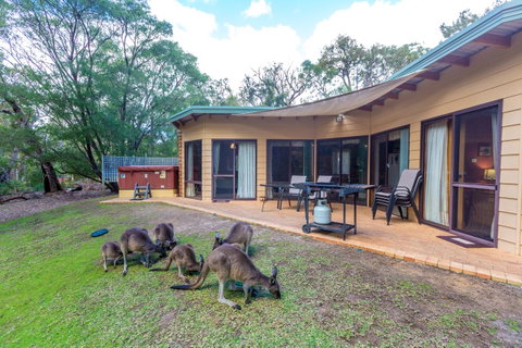 Yelverton Brook Conservation Sanctuary - Hotel QLD 18