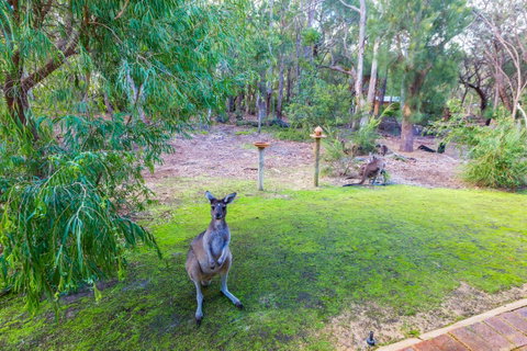 Yelverton Brook Conservation Sanctuary - Hotel QLD 11
