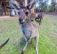 Yelverton Brook Eco Spa Retreat  Conservation Sanctuary - Hotel QLD