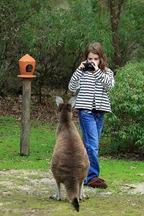Yelverton Brook Conservation Sanctuary - Hotel QLD 39