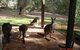 Yelverton Brook Conservation Sanctuary - thumb 22