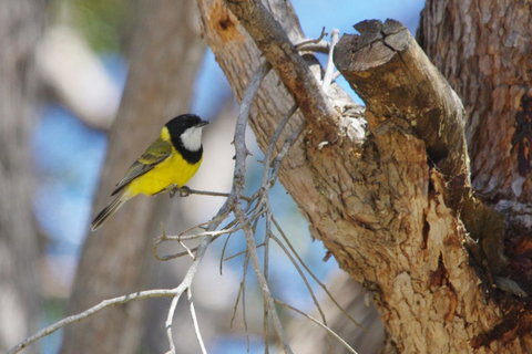 Yelverton Brook Conservation Sanctuary - Hotel QLD 35