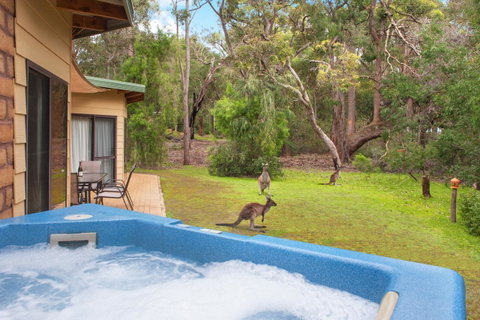 Yelverton Brook Conservation Sanctuary - Hotel QLD 9