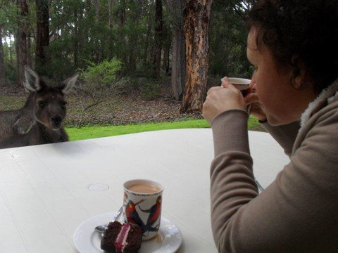 Yelverton Brook Conservation Sanctuary - Hotel QLD 44