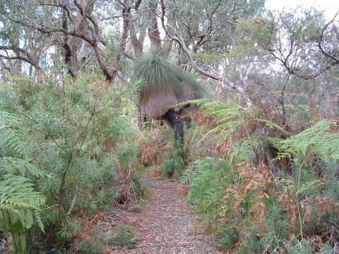 Yelverton Brook Conservation Sanctuary - Hotel QLD 41
