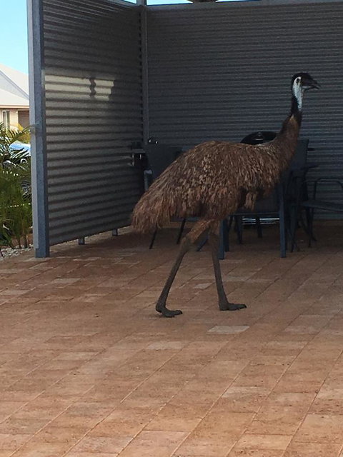 Exmouth 4 Escape - Hotel QLD 23