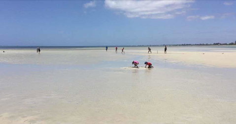 Beach House Dunsborough - Hotel QLD 22