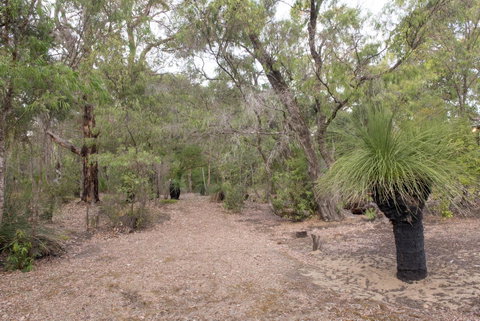 53 Martina Drive - Hotel QLD 30