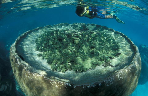 Sal Salis Ningaloo Reef - Hotel QLD 8