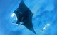 Sal Salis Ningaloo Reef - thumb 28