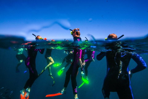 Sal Salis Ningaloo Reef - Hotel QLD 26