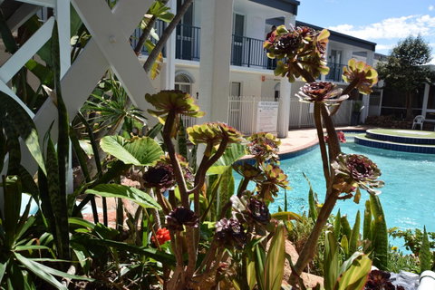 West Beach Lagoon 213 - Corner Unit! - Hotel QLD 12