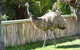 Wildsights Villas - thumb 29