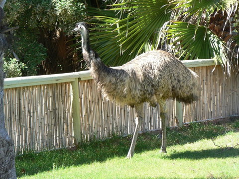 Wildsights Villas - Hotel QLD 29