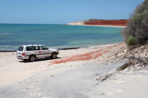 Wildsights Villas - Hotel QLD 12