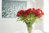 Book Kingston Beach Accommodation Vacations Hotel QLD Hotel QLD