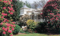 Book Scottsdale Accommodation Vacations Hotel QLD Hotel QLD